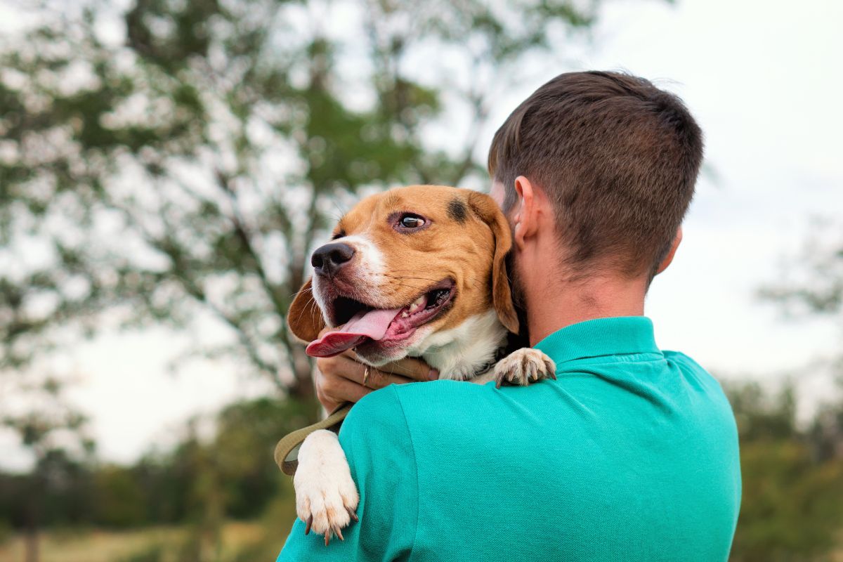 Pet Post-Op Care in Aventura, FL