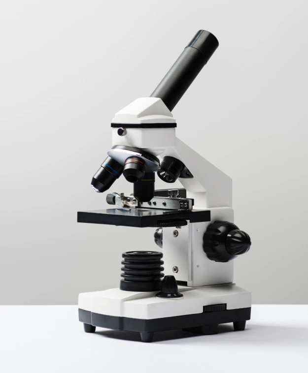 In-House Laboratory Results Without Long Delays