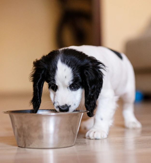 Nutrition and Daily Activity for Strong Growth