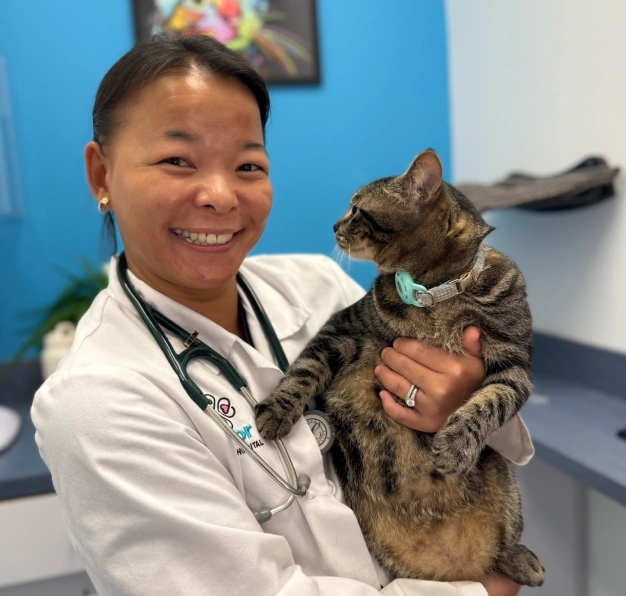 We support every stage of your cat's life