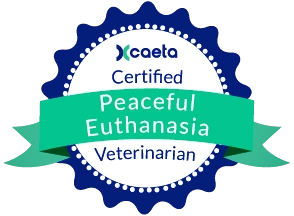 Dr. Maryna Mullerman - Certificate
