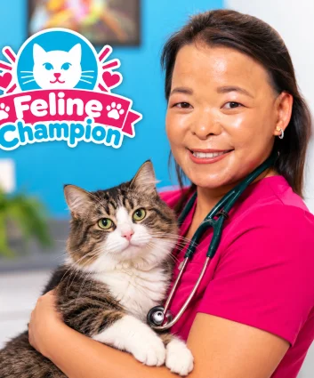 Dr. Brianna Chin